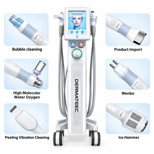 Dermateec Professional 6 in 1 HydraFacial Machine | Hydra Dermabrasion Machine — Dermateec aesthetic equipment
